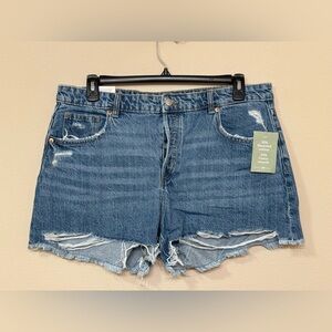 H&M Women's Blue High Rise Distressed  Comfort Stretch Button Up Denim Shorts 16